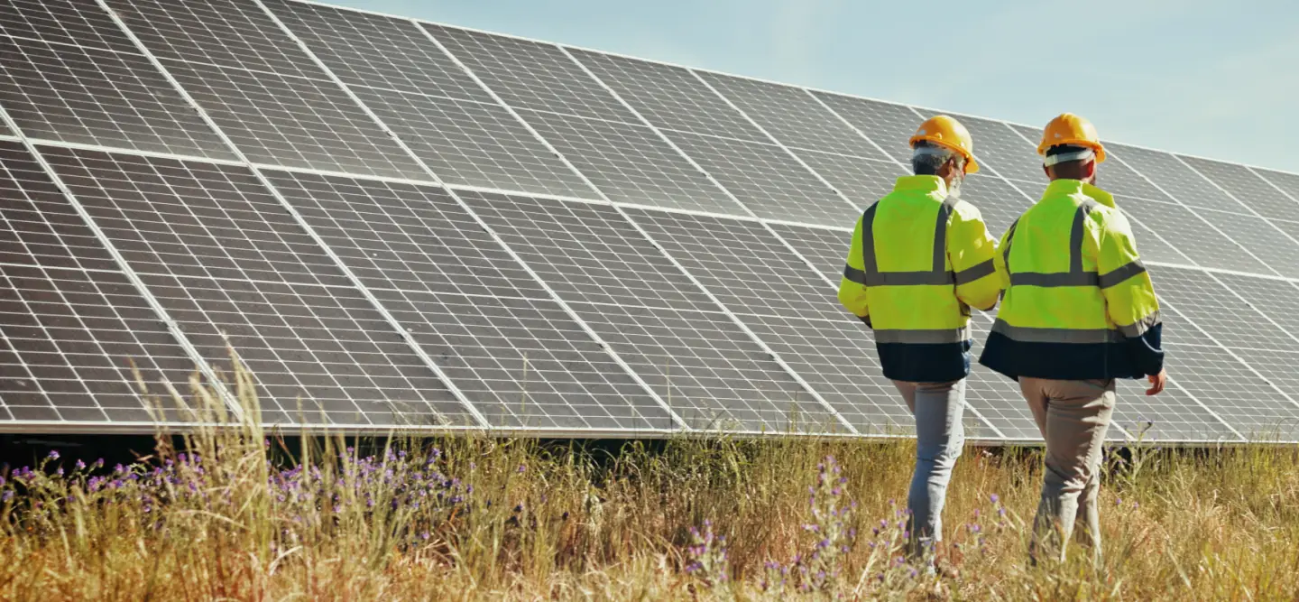 Workers in high-vis walking through field with solar panels